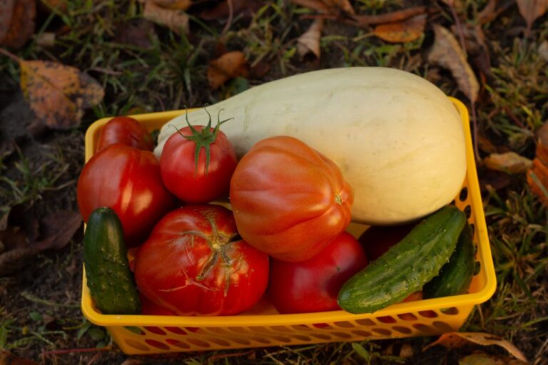 Owoce i warzywa dozwolone w diecie dr Dąbrowskiej