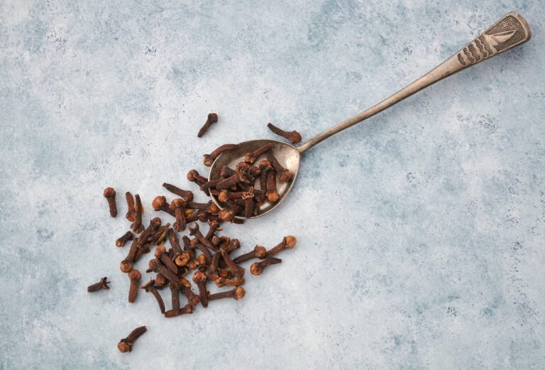 Goździki na srebrnej łyżeczce