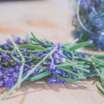 Jak powstaje hydrolat lawendowy i jakie ma zastosowania