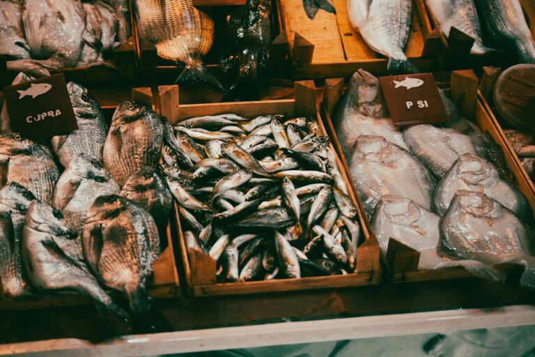 Zdrowe ryby morskie zawierające dużą ilość kwasów omega-3