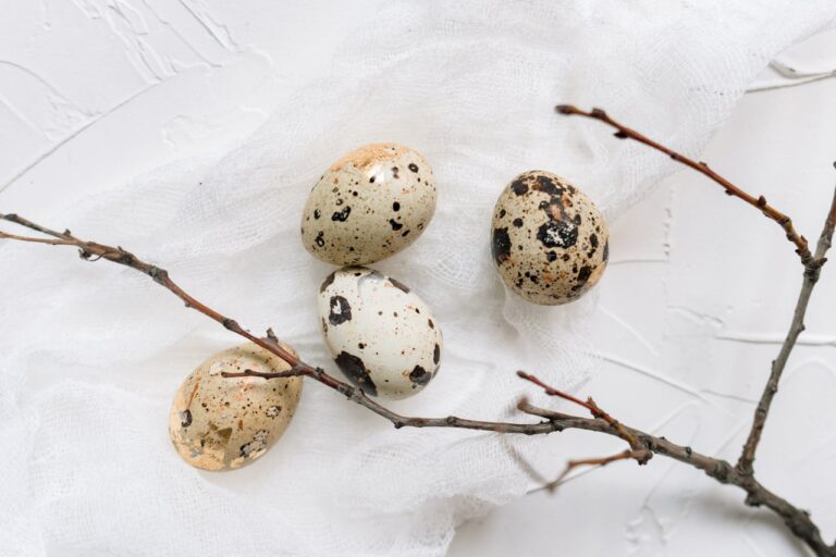 Kilka jajek przepórczych