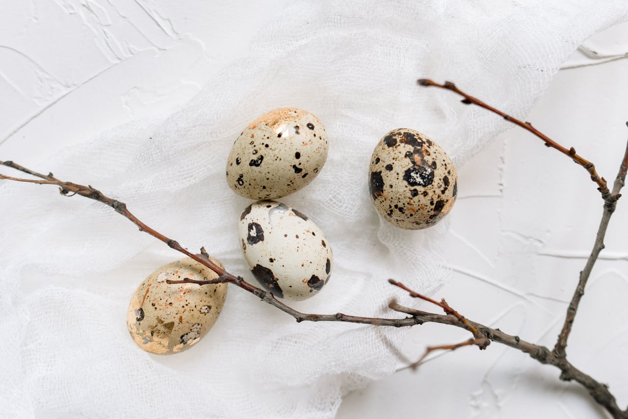 Kilka jajek przepórczych