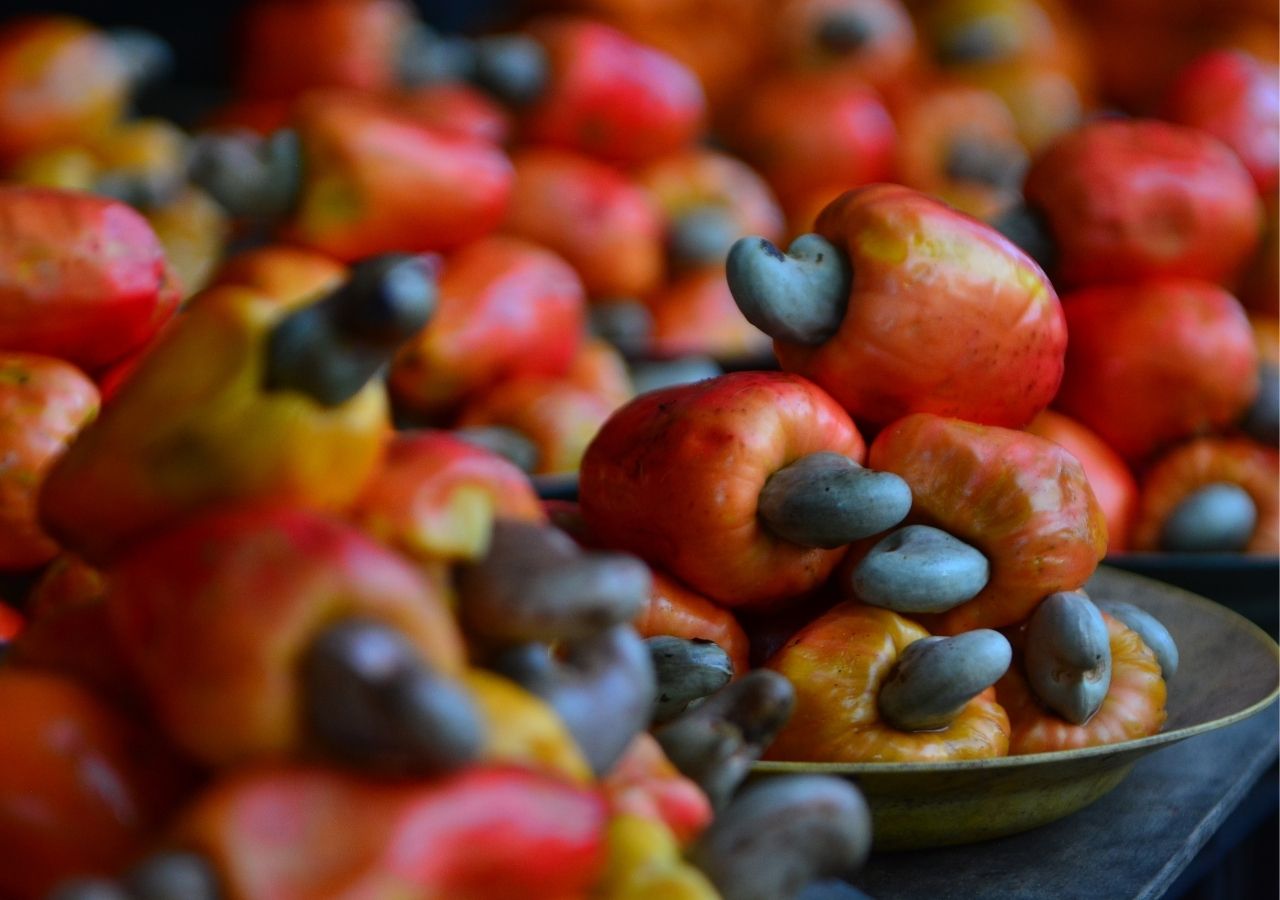 Świeże owoce nerkowca