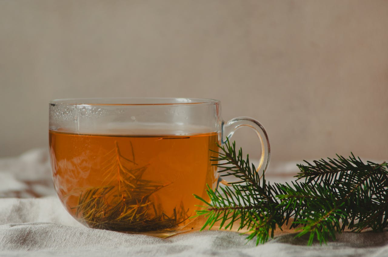 Napar ziołowy w filiżance